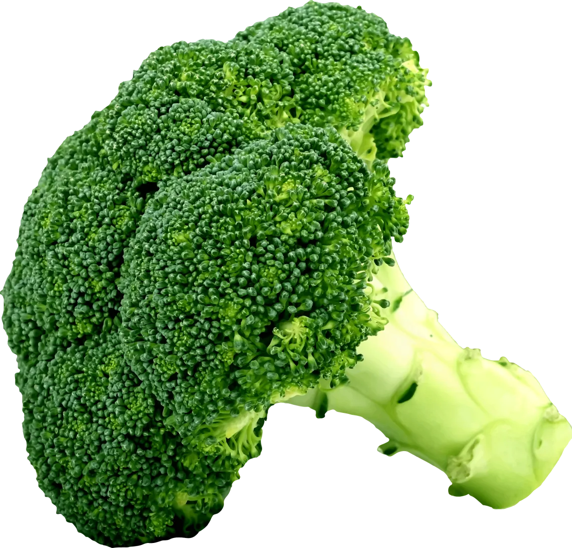 broccoli-eurogreen-etna-ortaggi