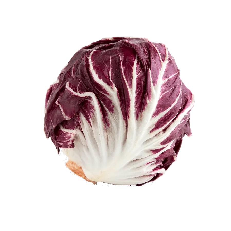 radicchio-di-chioggia-eurogreen-etna-ortaggi