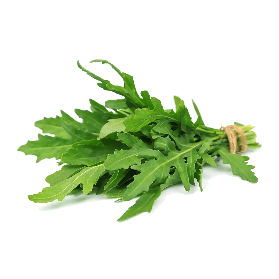 rucola-eurogreen-etna-ortaggi